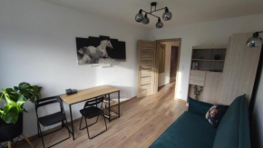Apartament Gagarina